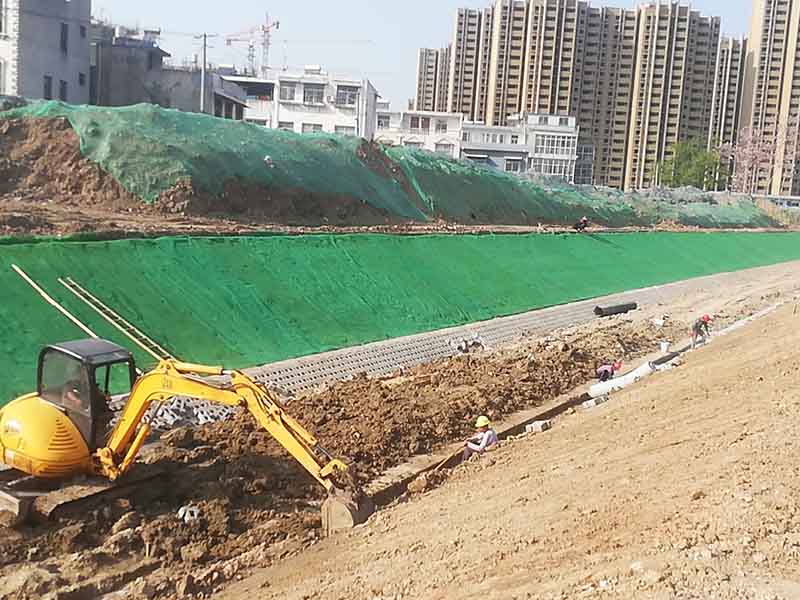 河道，公路兩側護坡鋪設三維植被網